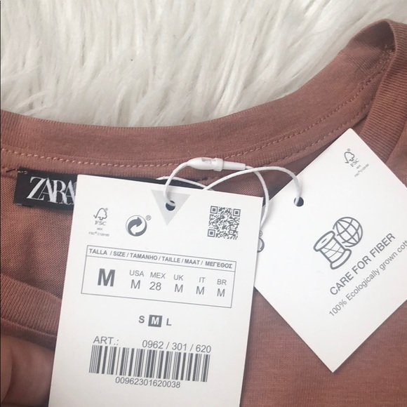 Zara Blush Ruffled Short Sleeve Tee Shirt - Picture 7 of 7